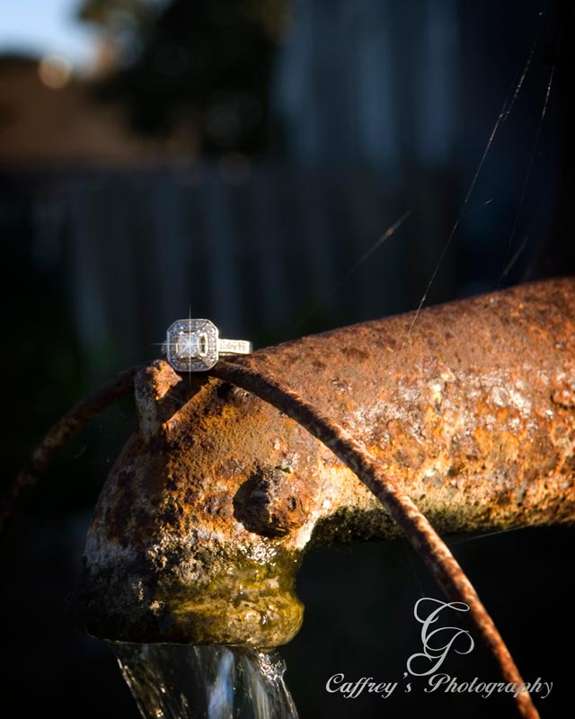 Captivating wedding ring on the antique water well spout. 