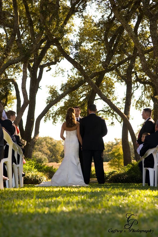 Wedding ceremony under the arched trees at the Phoenix Rising in Columbus Tx.