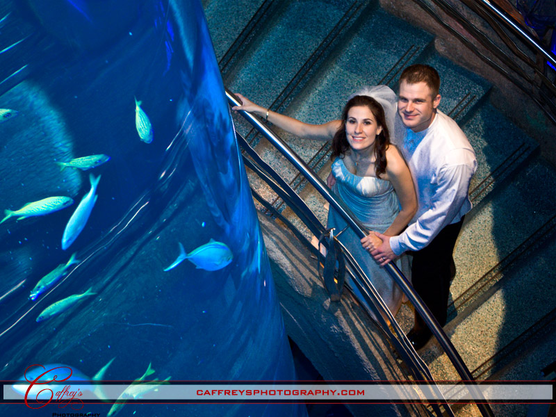 Happy bride and groom next to the huge aquarium at their wedding. 
