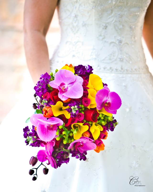 Stunning brides bouquet with a cascade of orchids surrounded by a luscious spray of spring flowers.