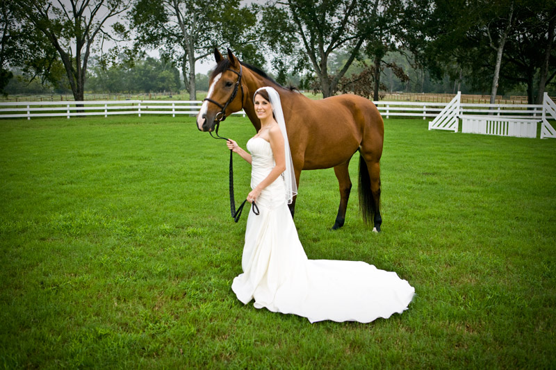 Elegant Bridal portrait with Equestrian horse Caffreys Photography a Houston Wedding Photographer