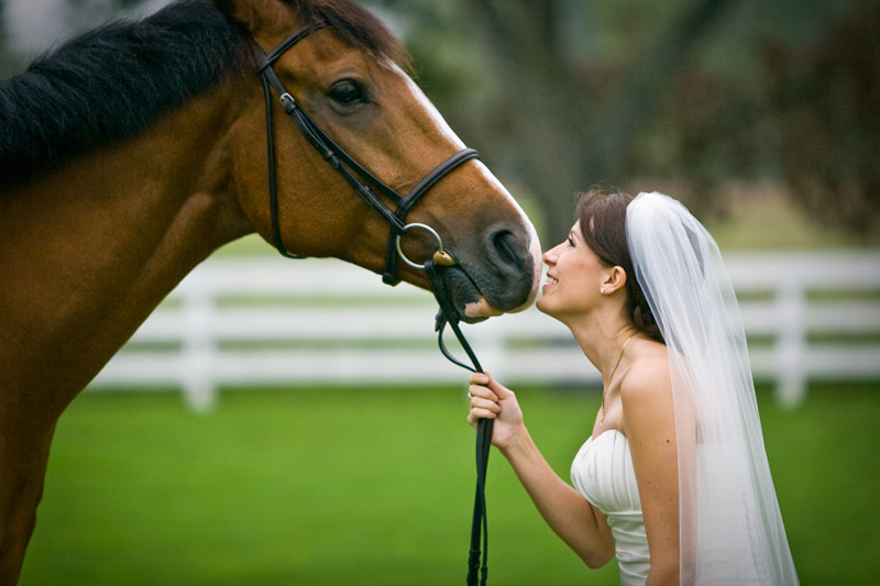 Fun Bridal portrait with horse Caffreys Photography a Houston Wedding Photographer