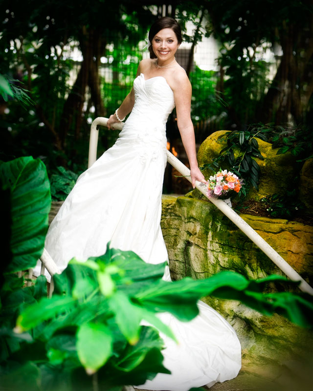 Houston Butterfly Museum Bridal Portraits Caffreys Photography