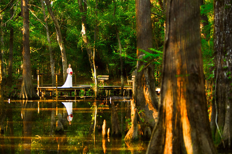 Stunning outdoor bridal portrait houston tx marsh woods water caffreys photography