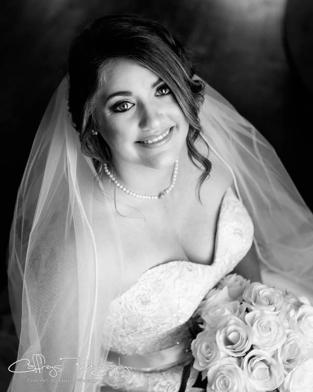 Houston Wedding Photographer Balmorhea Events Bridal Portrait