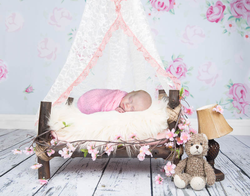 Newborn Canopy Bed