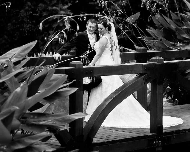 Pecan Springs Wedding Katy Tx Wedding Photography