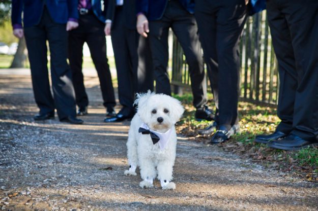 The Guys Houston Wedding Photography