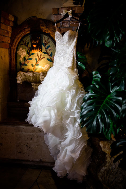 Houston Wedding Photography details
