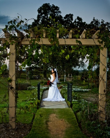 Winery Bridal Portraits in the Houston Area Caffreys Photography
