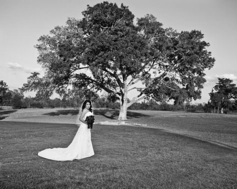 Winery Bridal Portraits in the Houston Area Caffreys Photography