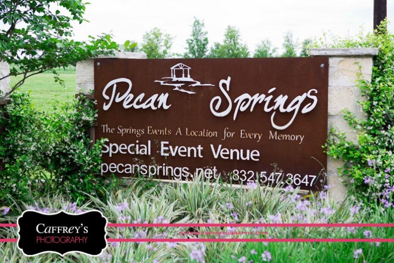 Pecan Springs Wedding