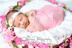 Katy newborn portrait photography