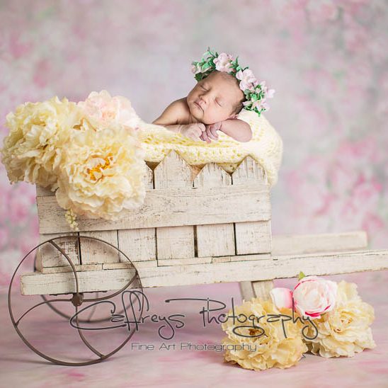 Katy newborn portrait photography